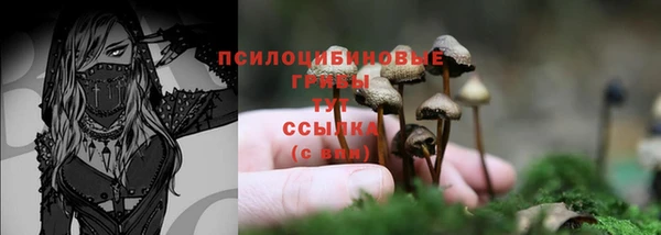 крисы Семёнов
