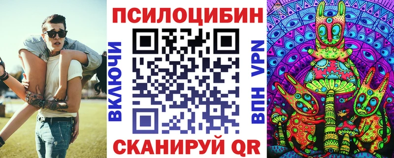Купить закладки  Богучар  Псилоцибиновые грибы Cubensis 