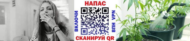 Канабис White Widow  Купить где  Богучар 